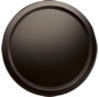 Matt Bronze