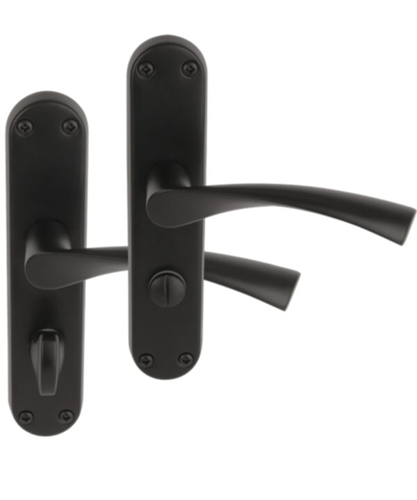 1 Pair of Lobo Black Matt Bathroom Door Handle Set on Long Backplate